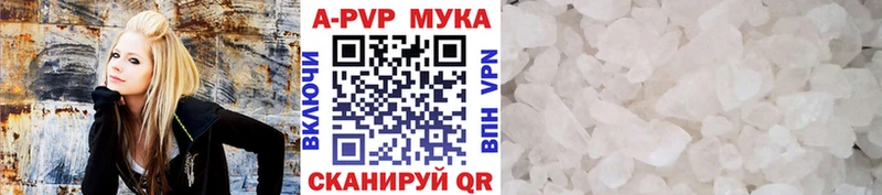 Альфа ПВП СК КРИС  Находка 