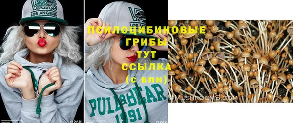 альфа пвп Заводоуковск