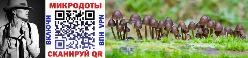 Псилоцибиновые грибы GOLDEN TEACHER  Находка 