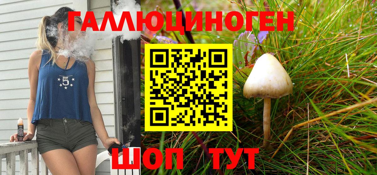 Псилоцибиновые грибы Psilocybine cubensis Находка